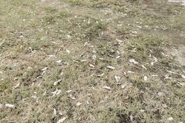 Bandar Baru Permas Jaya