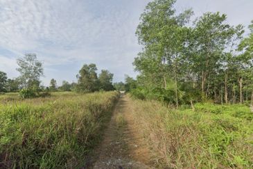 Danga Sutera @ Skudai Agriculture Land