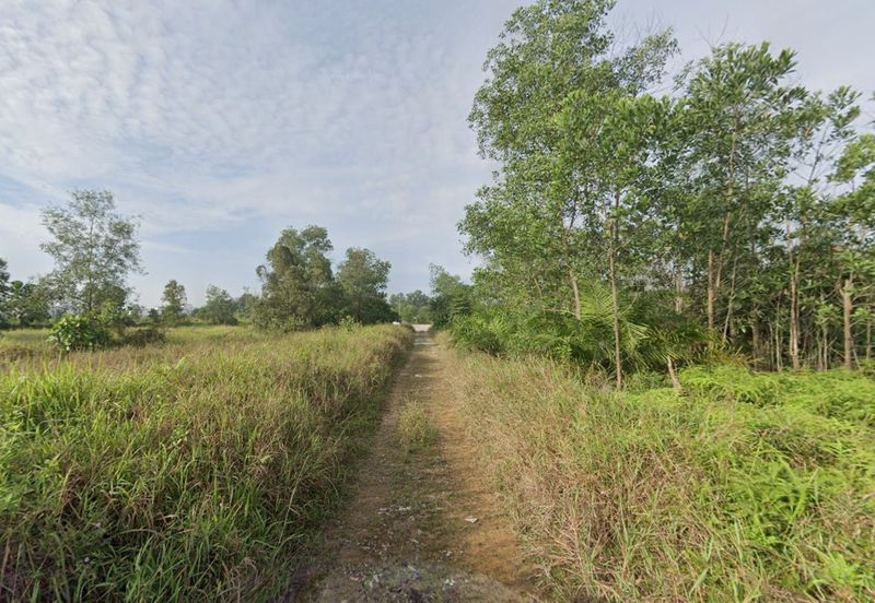 Danga Sutera @ Skudai Agriculture Land