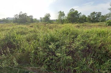 Danga Sutera @ Skudai Agriculture Land