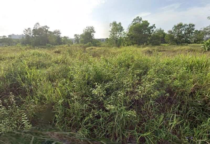 Danga Sutera @ Skudai Agriculture Land