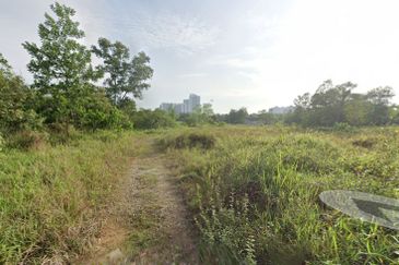 Danga Sutera @ Skudai Agriculture Land