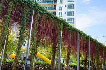 D'Suites , Akasia Horizon