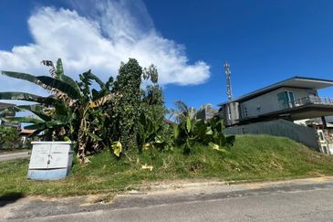 Taman Nusa Perintis 1