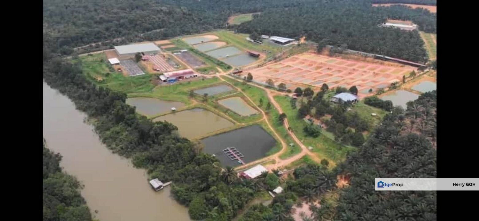 Kota Tinggi Tourism Farm For Sale, 83 Acres, Freehold, Johor, Kota Tinggi