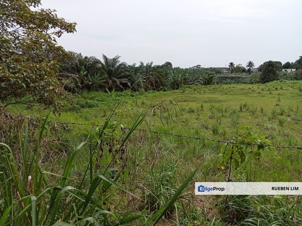 Agricultural Land Kelapa Sawit Johor For Sale – Freehold, Oil Palm Land, Johor, Kluang
