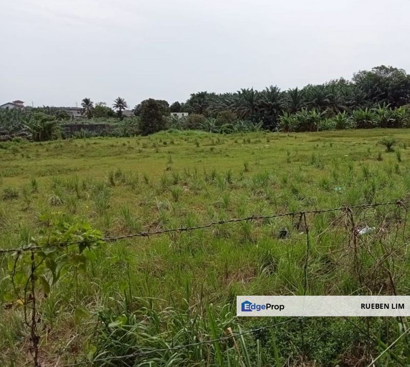 Agricultural Land Kelapa Sawit Johor For Sale – Freehold, Oil Palm Land, Johor, Kluang