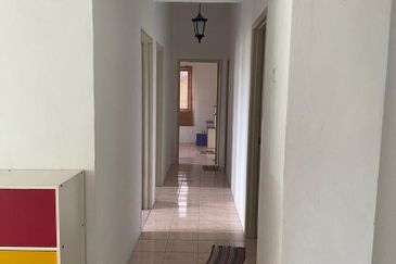 Evergreen Park Acorn and Hazel