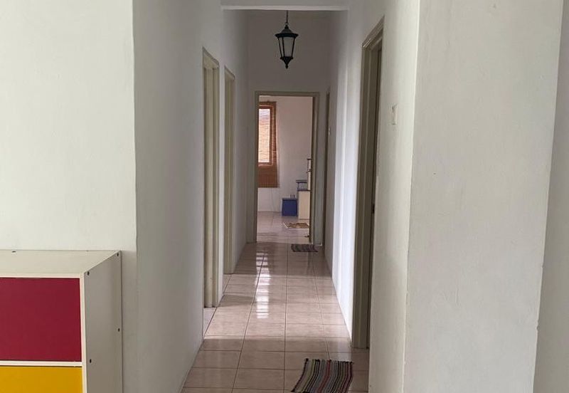 Evergreen Park Acorn and Hazel