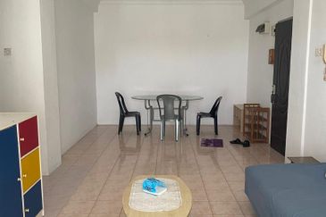 Evergreen Park Acorn and Hazel