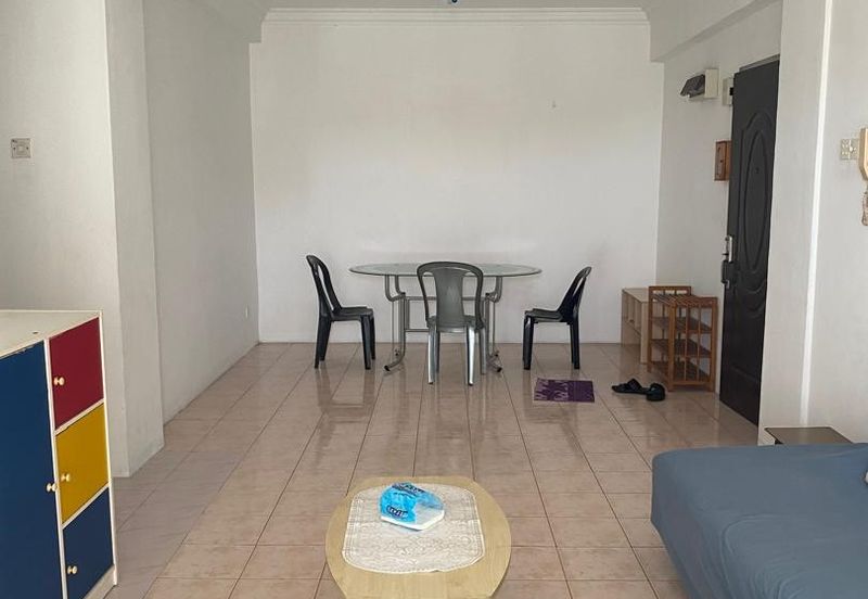 Evergreen Park Acorn and Hazel