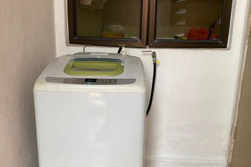 Evergreen Park Acorn and Hazel