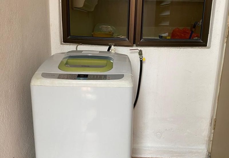 Evergreen Park Acorn and Hazel