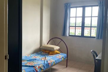 Evergreen Park Acorn and Hazel