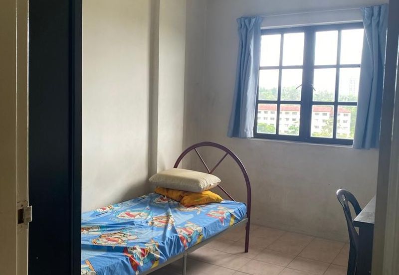 Evergreen Park Acorn and Hazel