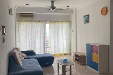 Evergreen Park Acorn and Hazel