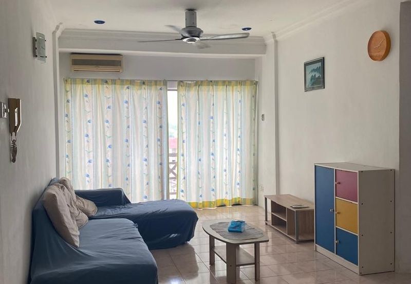 Evergreen Park Acorn and Hazel