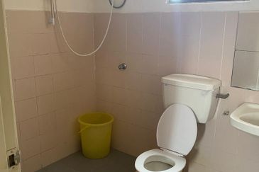 Evergreen Park Acorn and Hazel