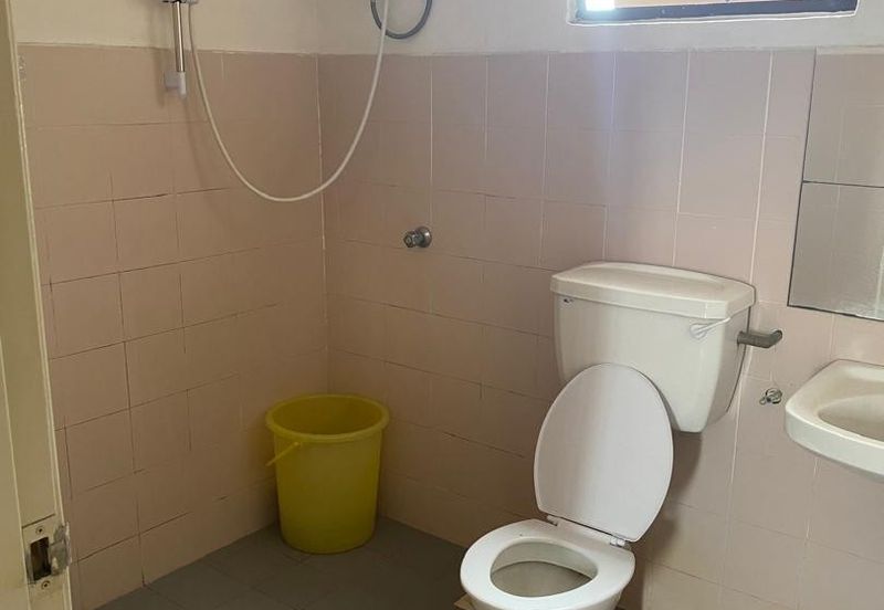 Evergreen Park Acorn and Hazel