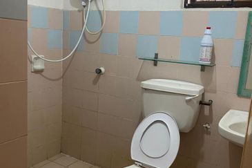 Evergreen Park Acorn and Hazel