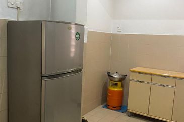 Evergreen Park Acorn and Hazel