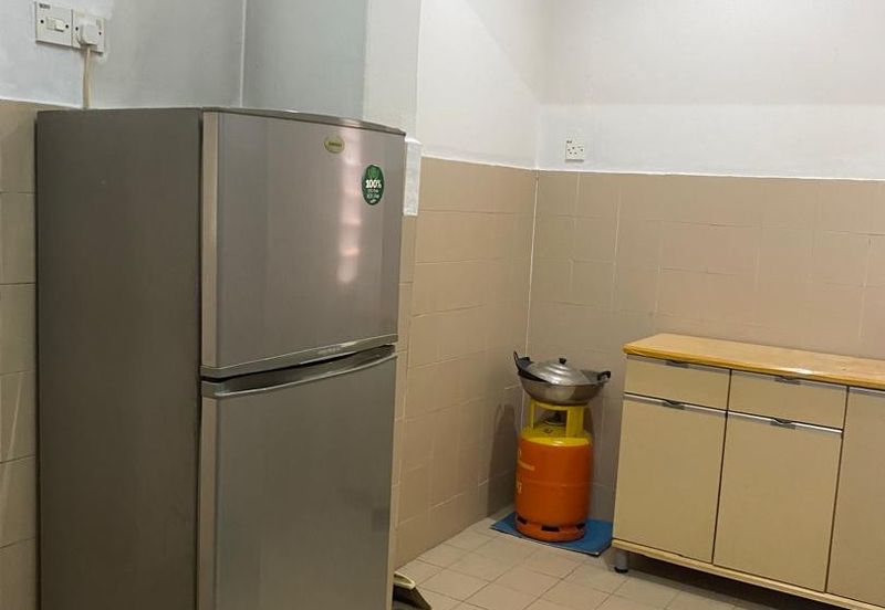 Evergreen Park Acorn and Hazel