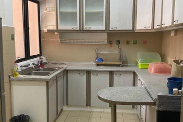 Evergreen Park Acorn and Hazel