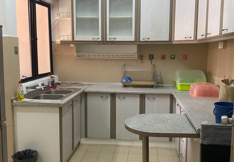 Evergreen Park Acorn and Hazel