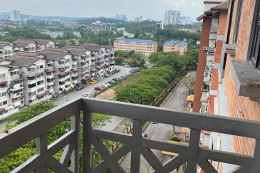 Evergreen Park Acorn and Hazel