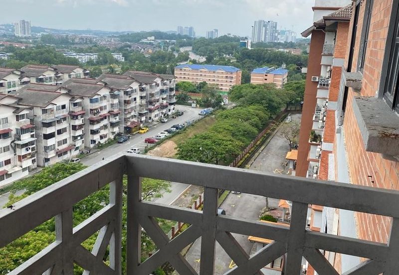 Evergreen Park Acorn and Hazel