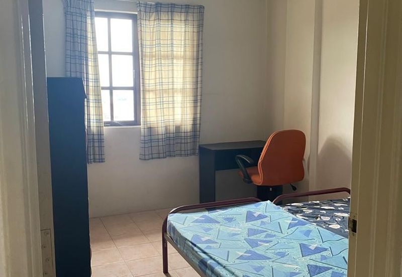 Evergreen Park Acorn and Hazel