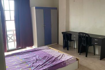 Evergreen Park Acorn and Hazel