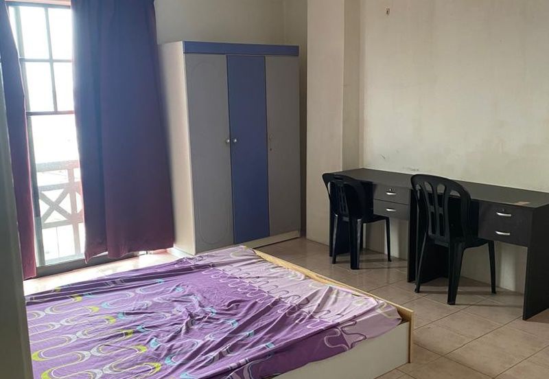 Evergreen Park Acorn and Hazel