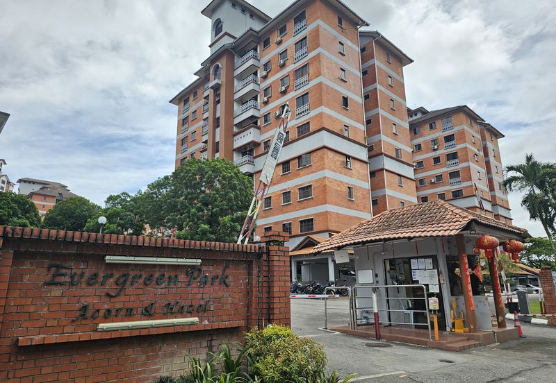 Evergreen Park Acorn and Hazel