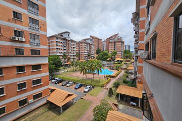 Evergreen Park Acorn and Hazel