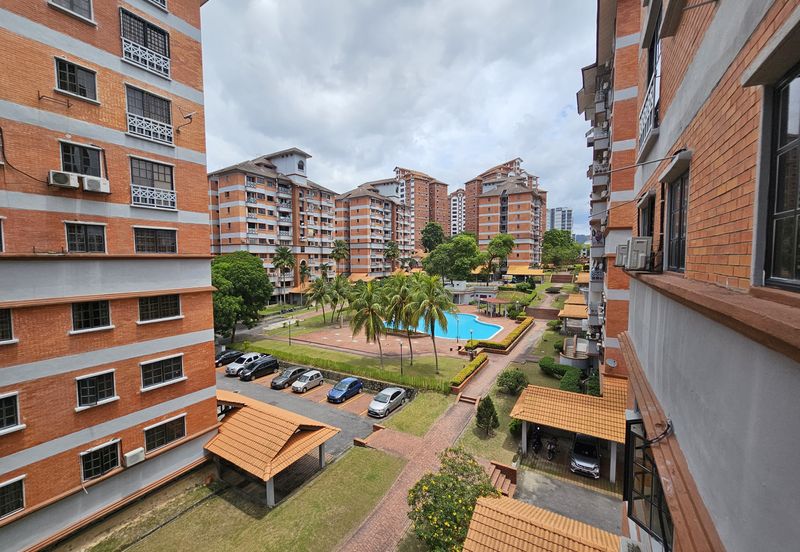 Evergreen Park Acorn and Hazel