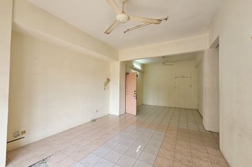 Evergreen Park Acorn and Hazel