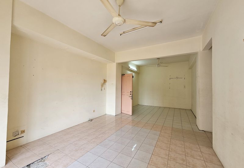 Evergreen Park Acorn and Hazel