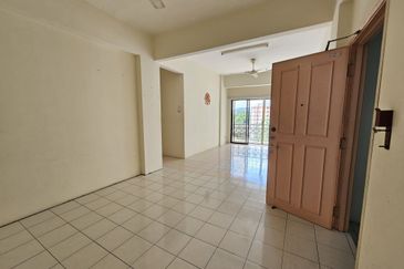 Evergreen Park Acorn and Hazel