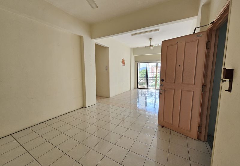 Evergreen Park Acorn and Hazel