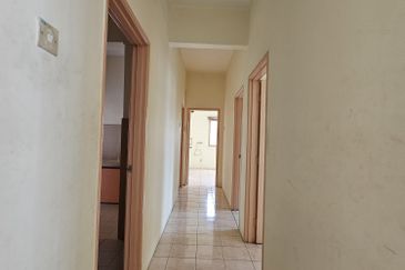 Evergreen Park Acorn and Hazel