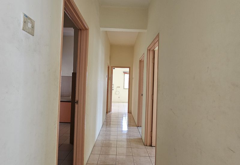 Evergreen Park Acorn and Hazel