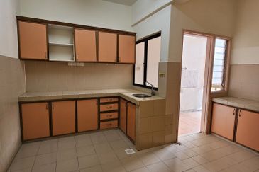 Evergreen Park Acorn and Hazel