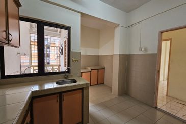 Evergreen Park Acorn and Hazel