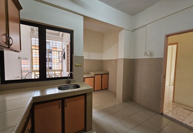 Evergreen Park Acorn and Hazel