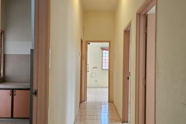 Evergreen Park Acorn and Hazel