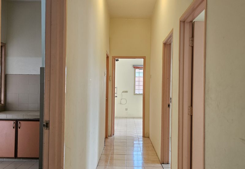 Evergreen Park Acorn and Hazel