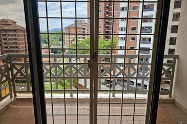 Evergreen Park Acorn and Hazel