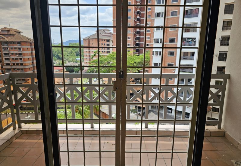 Evergreen Park Acorn and Hazel