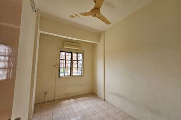 Evergreen Park Acorn and Hazel